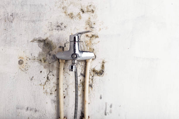 Office Mold Removal Services in Kimball, NE