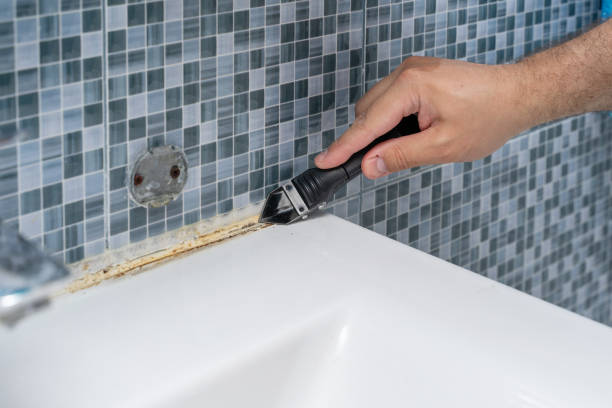 Best Local Mold Removal Service  in Kimball, NE
