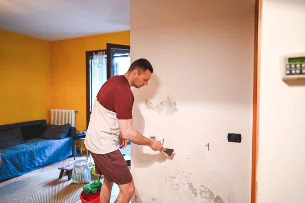 Best Black Mold Removal  in Kimball, NE