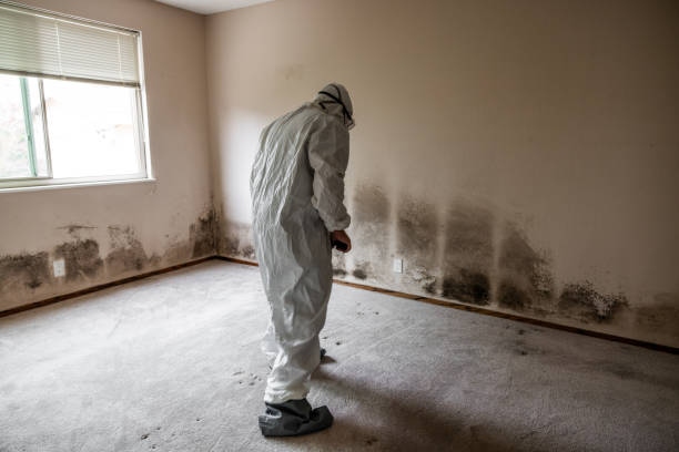 Best Residential Mold Removal  in Kimball, NE